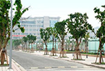 眉山職業學校有哪些—眉山職業技術學院