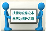 單招考試內容?是否可以升本科?