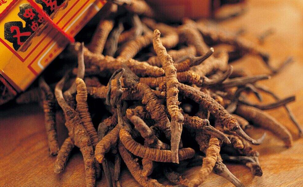 中醫(yī)學(xué)專(zhuān)業(yè)主要學(xué)什么