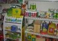 藥劑專業