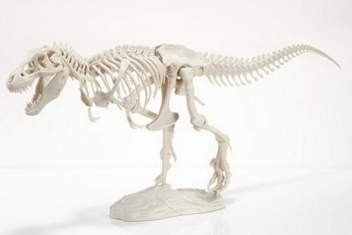 3D打印技術將會日漸成熟，你會來分一杯羹嗎？