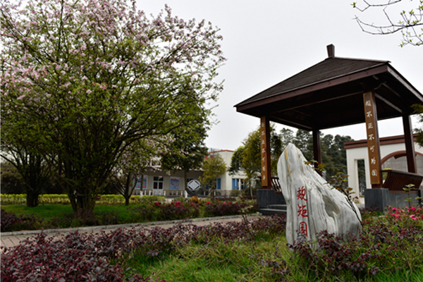學校環境