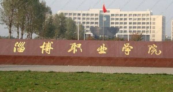 專科高職職業院校排名