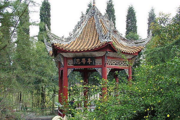 職業(yè)高中