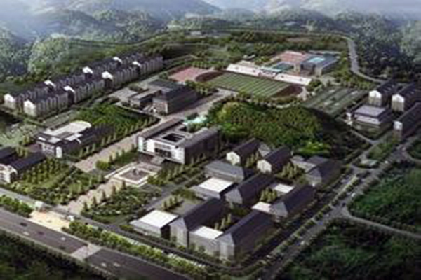 是什么嗎
