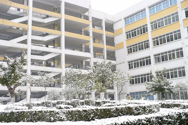 職業技術學院