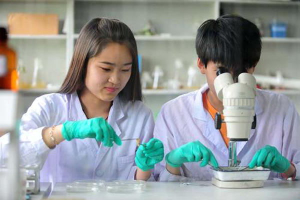 現(xiàn)在女生學什么好